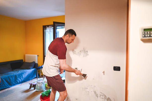 Best Attic Mold Removal  in Gordo, AL